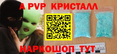гашик Моздок