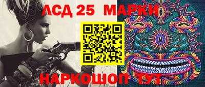 гашик Моздок