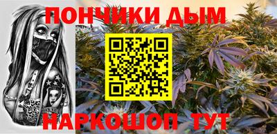 гашик Моздок