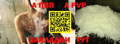 гашик Моздок