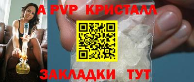 гашик Моздок