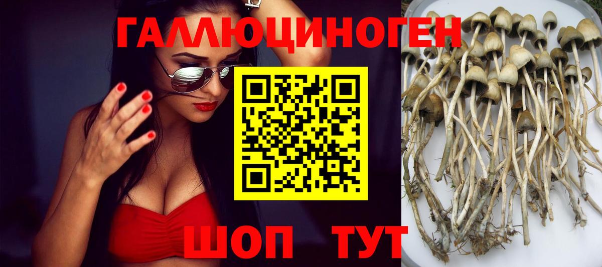 Псилоцибиновые грибы ЛСД Верхний Уфалей