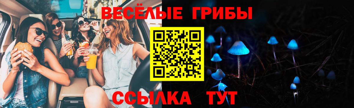 Галлюциногенные грибы Psilocybe  Галлюциногенные грибы GOLDEN TEACHER  Верхний Уфалей  Вход с VPN 